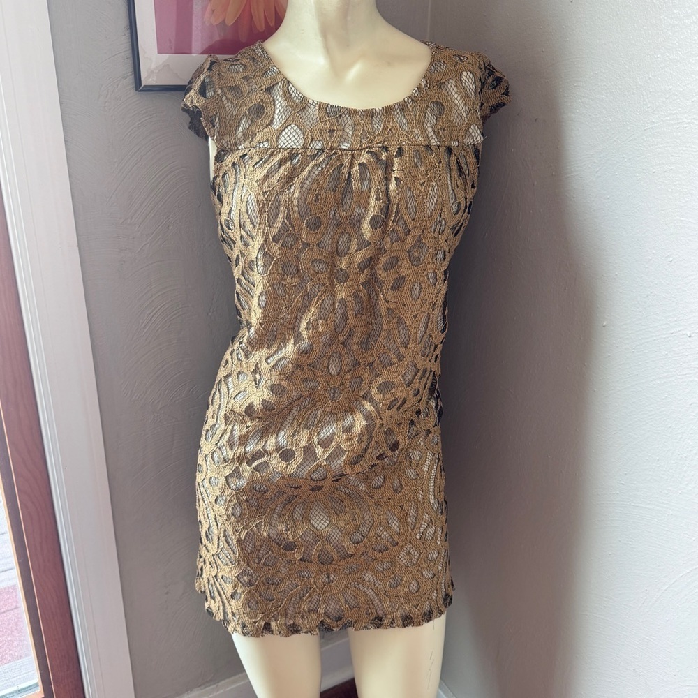 Inc lace dress